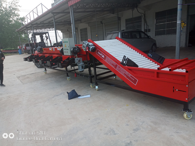 簡易款大蒜分選機(jī) 簡易款大蒜分選機(jī)