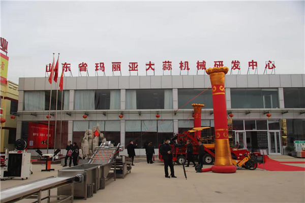 全自動(dòng)大蒜播種機(jī) 全自動(dòng)大蒜播種機(jī)